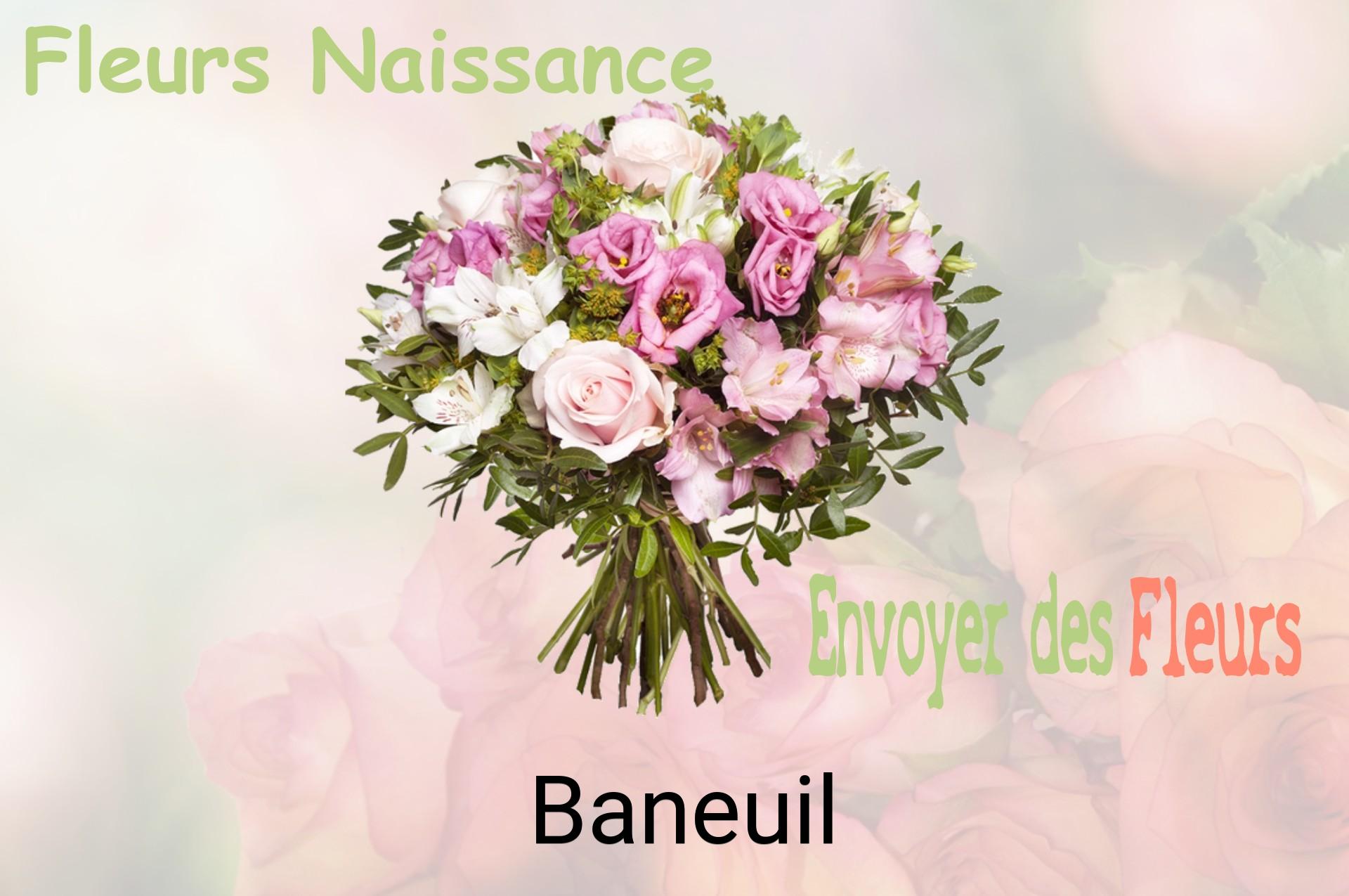 Bouquet de fleurs de naissance livré à Baneuil