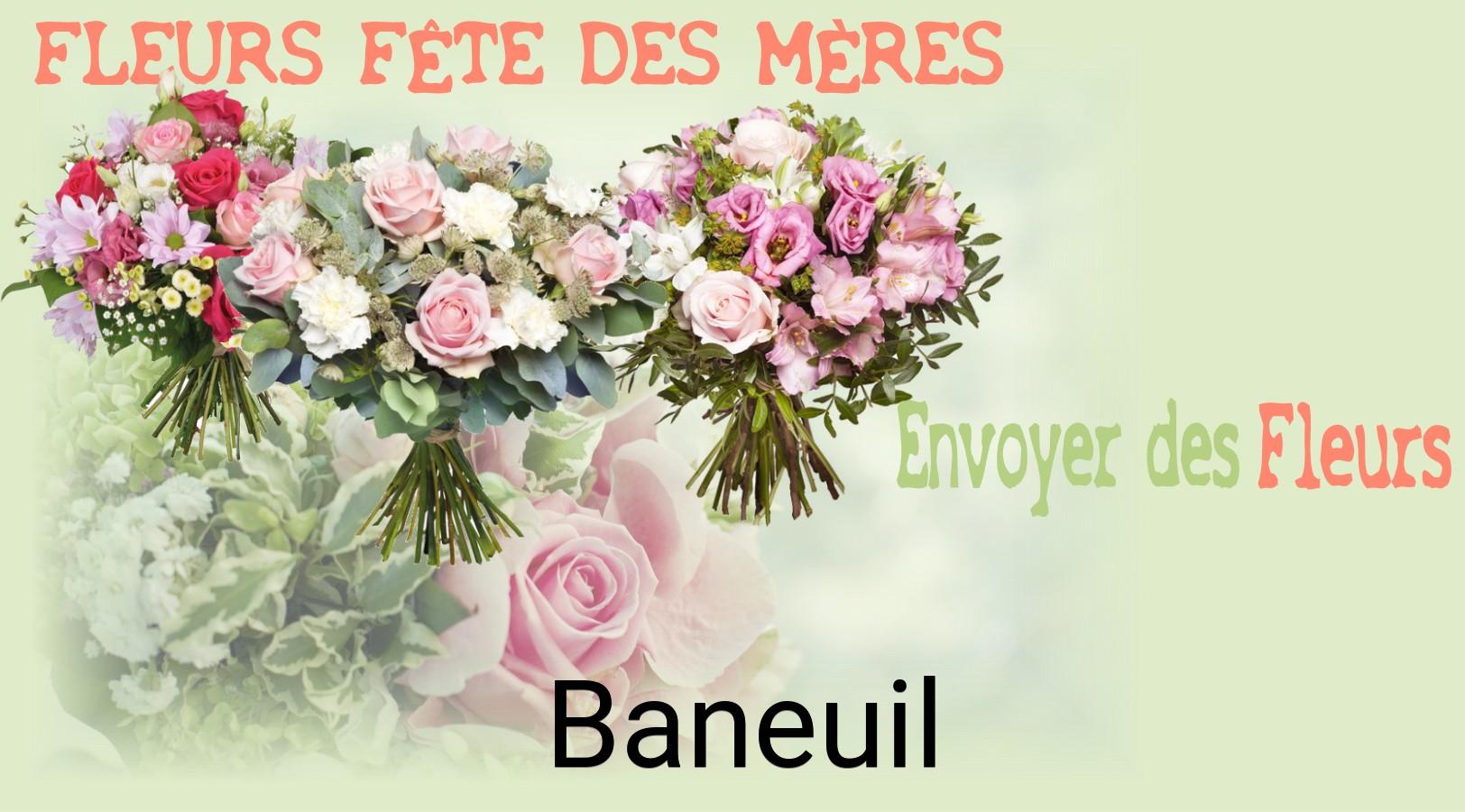 Bouquet de Fête des Mères livré à Baneuil